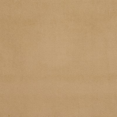 Charlotte Fabrics D329 Sand Brown Multipurpose Woven  Blend Fire Rated Fabric High Wear Commercial Upholstery CA 117 Microsuede Solid Velvet 