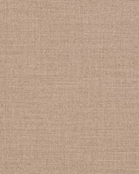 D3423 Taupe by   