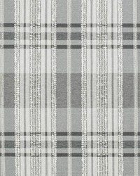 D3516 Pewter by  Charlotte Fabrics 