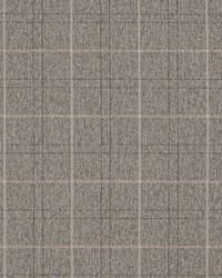 D3536 Flannel by  Charlotte Fabrics 