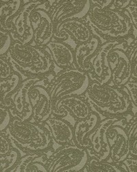 D3584 Olive Paisley by  Charlotte Fabrics 