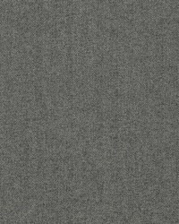 D3605 Charcoal by  Charlotte Fabrics 