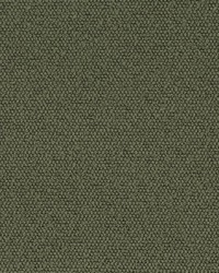 D3628 Olive by  Charlotte Fabrics 