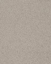 D3632 Pewter by  Charlotte Fabrics 