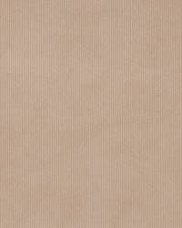 D3895 Taupe by   