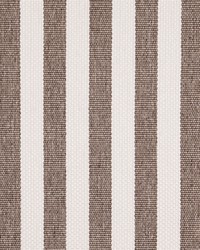 D5094 Taupe by   