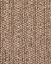 D5124 Sisal by   