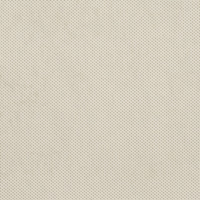 Charlotte Fabrics D534 Natural Texture Beige Multipurpose Nylon  Blend Fire Rated Fabric High Wear Commercial Upholstery CA 117 Microsuede Solid Velvet 