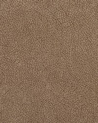 D567 Taupe Mosaic by   