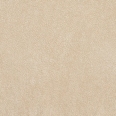 Charlotte Fabrics D568 Bisque Mosaic Multipurpose Nylon  Blend Fire Rated Fabric High Wear Commercial Upholstery CA 117 Microsuede Solid Velvet 