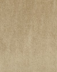 D580 Taupe by   