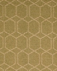 F200-176 by  Bravo Fabrics International LLC 