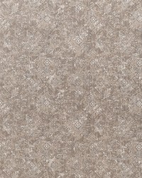 F300-195 by  Robert Allen 