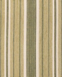 F300-272 by  Bravo Fabrics International LLC 