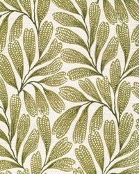 F300-279 by  Bravo Fabrics International LLC 