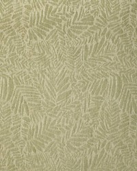 F300-283 by  Bravo Fabrics International LLC 