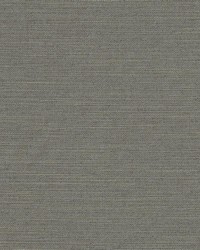 R280 Iron by  Charlotte Fabrics 