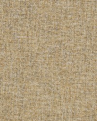 R306 Cornsilk by   