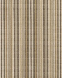 R310 Coffee Stripe by  Charlotte Fabrics 