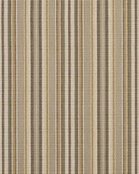 R310 Coffee Stripe by   