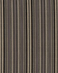 R365 Pewter Stripe by  Charlotte Fabrics 