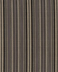 R365 Pewter Stripe by   