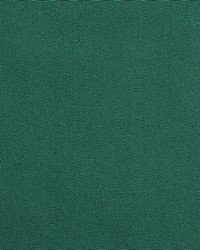 Charlotte Fabrics Top Choice Green Fabric