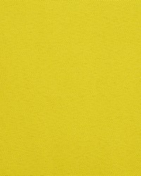 Top Choice Yellow by  Charlotte Fabrics 