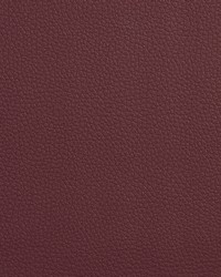 V161 Burgundy by   