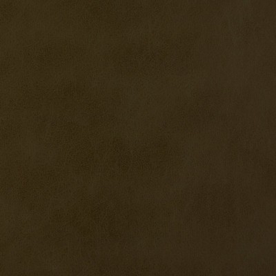 Charlotte Fabrics V228 Caper Upholstery Vinyl/Polyurethane  Blend Fire Rated Fabric High Wear Commercial Upholstery Solid Faux LeatherCA 117 Automotive Vinyls
