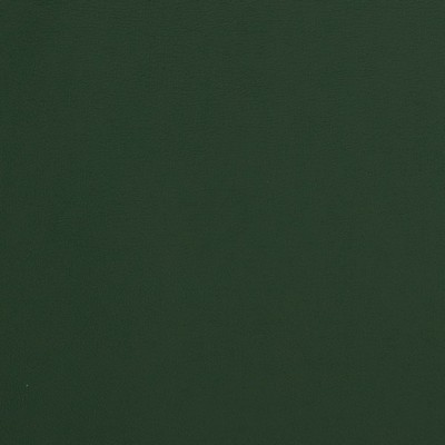 Charlotte Fabrics V293 Forest Green Upholstery Virgin  Blend Fire Rated Fabric High Wear Commercial Upholstery CA 117 Automotive Vinyls