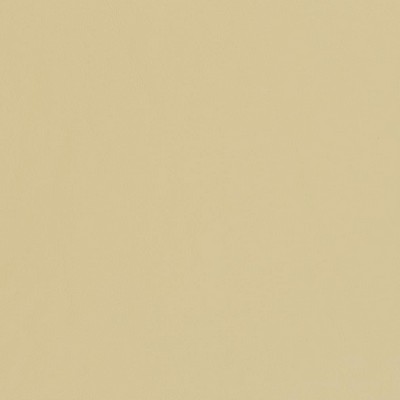 Charlotte Fabrics V448 Buff Beige Upholstery Virgin  Blend Fire Rated Fabric High Wear Commercial Upholstery CA 117 NFPA 260 Solid Outdoor Marine and Auto Vinyl
