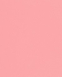 V462 Pink by  Charlotte Fabrics 