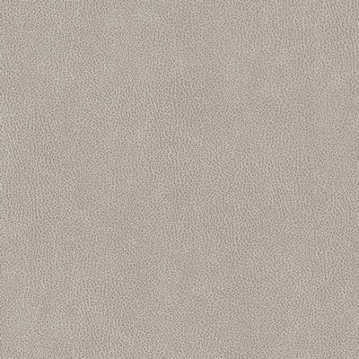 Charlotte Fabrics V503 Platinum Silver Upholstery Breathable  Blend Fire Rated Fabric High Wear Commercial Upholstery Solid Faux LeatherFlame Retardant Vinyl CA 117 NFPA 260 Solid Color VinylAutomotive Vinyls