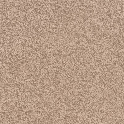 Charlotte Fabrics V505 Cashew Beige Upholstery Breathable  Blend Fire Rated Fabric High Wear Commercial Upholstery Solid Faux LeatherFlame Retardant Vinyl CA 117 NFPA 260 Solid Color VinylAutomotive Vinyls