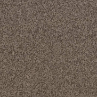 Charlotte Fabrics V507 Ash Grey Upholstery Breathable  Blend Fire Rated Fabric High Wear Commercial Upholstery Solid Faux LeatherFlame Retardant Vinyl CA 117 NFPA 260 Solid Color VinylAutomotive Vinyls