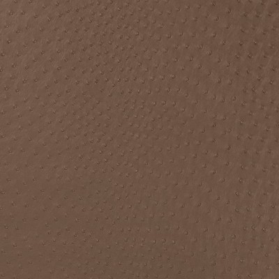 Charlotte Fabrics V594 Mink Black Upholstery Vinyl Fire Rated Fabric High Wear Commercial Upholstery CA 117 NFPA 260 Animal Vinyl 