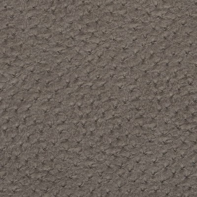 Charlotte Fabrics V617 Pewter Silver Upholstery Polyurethane  Blend Fire Rated Fabric High Wear Commercial Upholstery CA 117 NFPA 260 Animal Vinyl 
