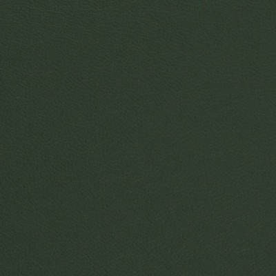 Charlotte Fabrics V699 Evergreen Green Upholstery 100%  Blend Fire Rated Fabric High Wear Commercial Upholstery Solid Faux LeatherCA 117 NFPA 260 Leather Look VinylCommercial VinylMarine and Auto Vinyl