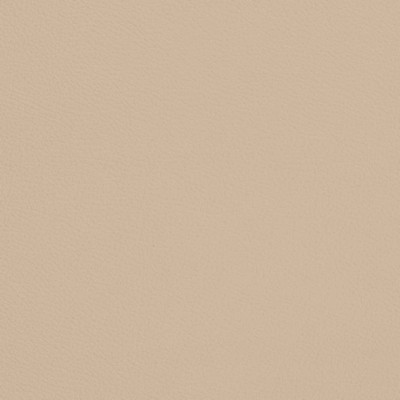 Charlotte Fabrics V707 Bone Beige Upholstery 100%  Blend Fire Rated Fabric High Wear Commercial Upholstery Solid Faux LeatherCA 117 NFPA 260 Solid Outdoor Marine and Auto VinylLeather Look VinylCommercial Vinyl