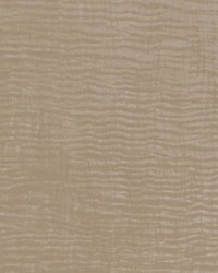 V728 Taupe by   