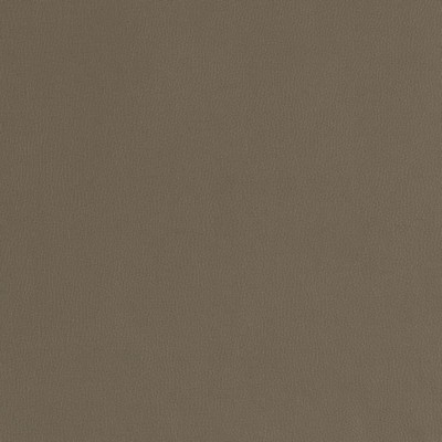 Charlotte Fabrics V787 Ash Value Vinyl III V787 Grey Upholstery Face:  Blend Fire Rated Fabric High Wear Commercial Upholstery CA 117  NFPA 260  Automotive Vinyls Fabric