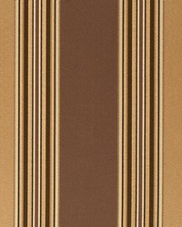 Y1823 Gold Stripe by   