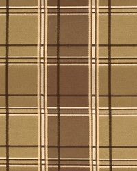 Y1828 Honey Pecan by   