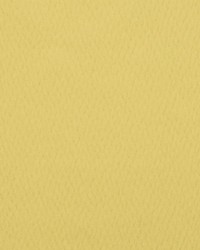 Y1842 Lemon Grass by   