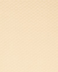 Y1988 Ivory Diamond by   