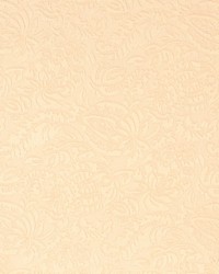 Y2124 Ivory Garden by   