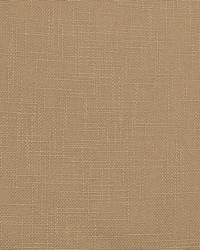 Y2252 Beige by  Koeppel Textiles 