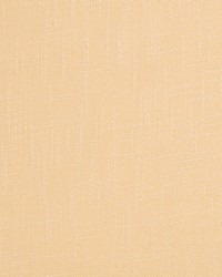 Y2255 Oyster by  Koeppel Textiles 