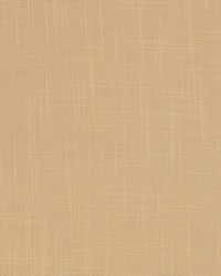 Y2256 Oatmeal by  Koeppel Textiles 